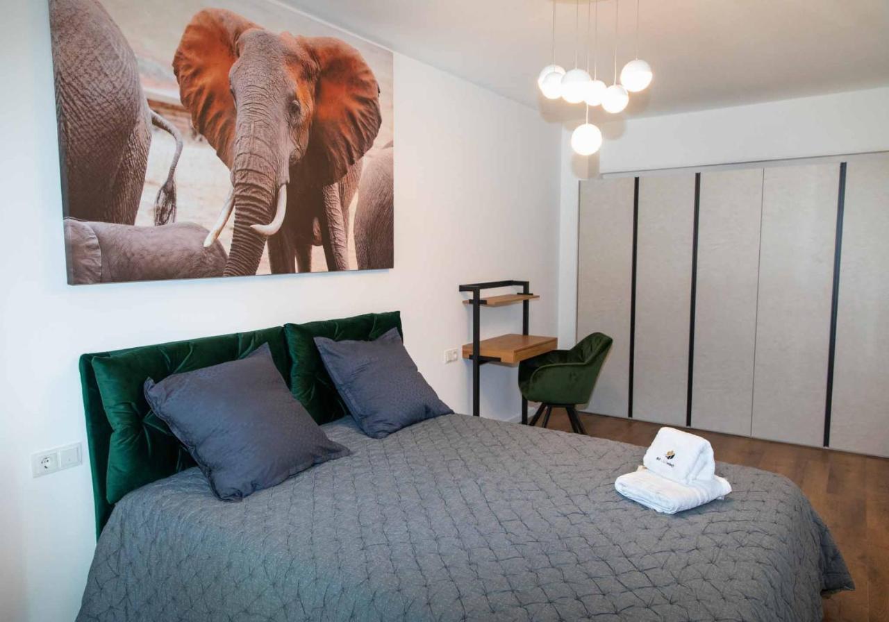 Bg Luximmo Apartments Cluj-Napoca Eksteriør bilde